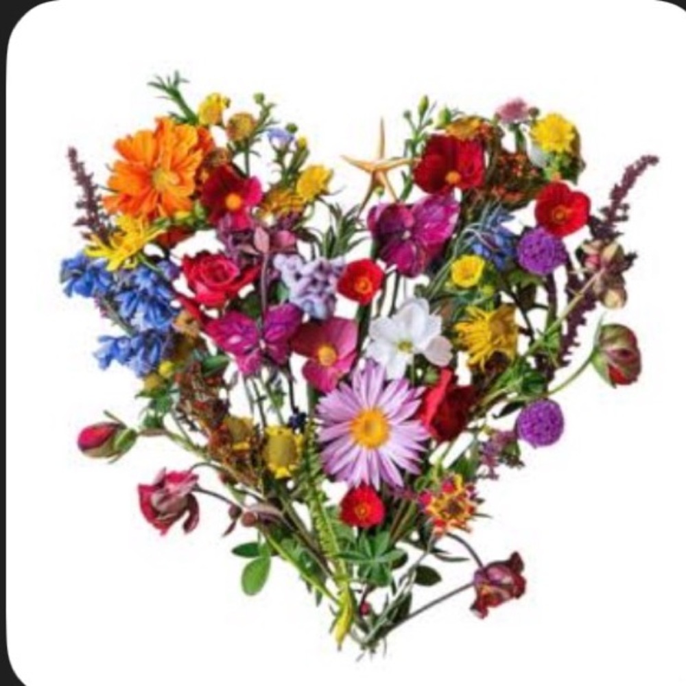 Meet your Posher, Olga